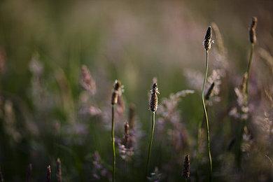 《皇牌空战7》联动《壮志凌云：独行侠》DLC将于5月26日发售